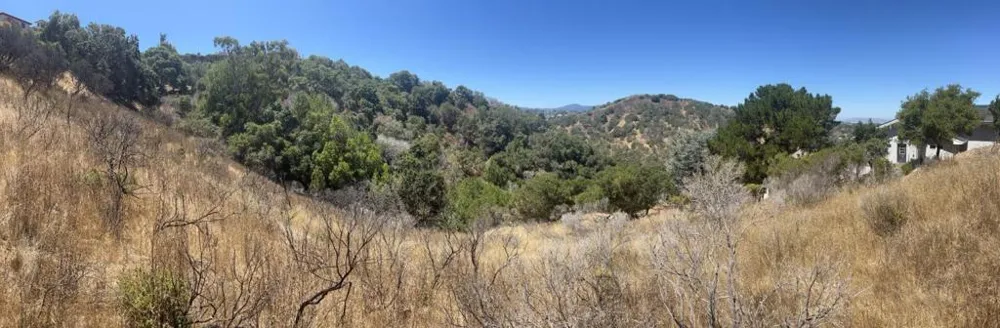 2928 Alhambra Drive Belmont, CA 94002