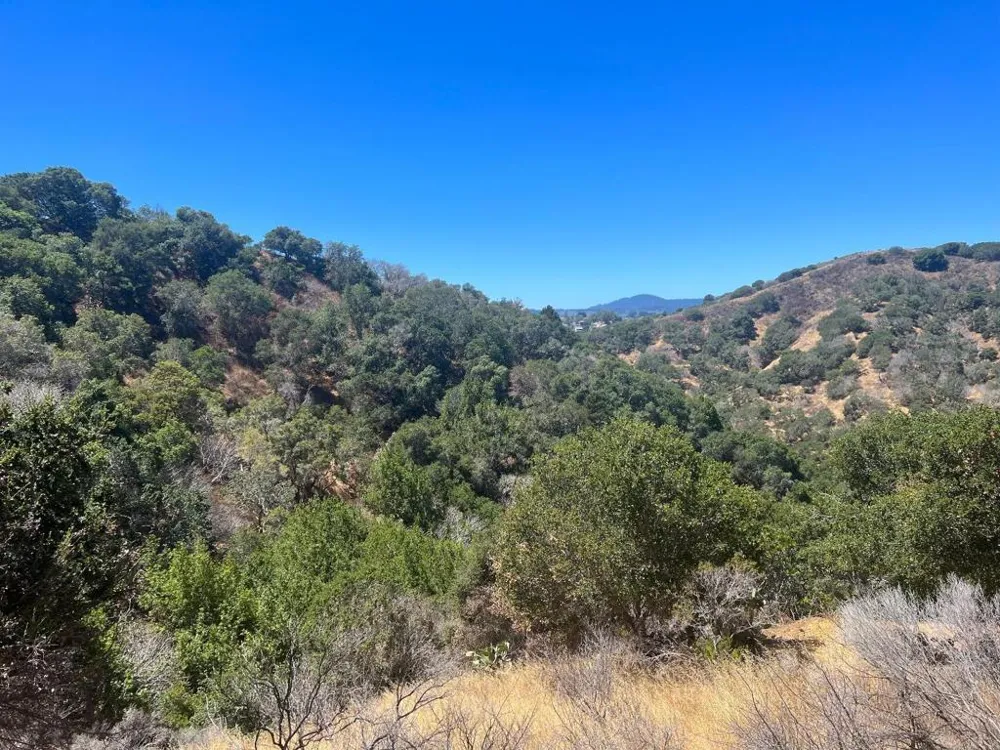2928 Alhambra Drive Belmont, CA 94002