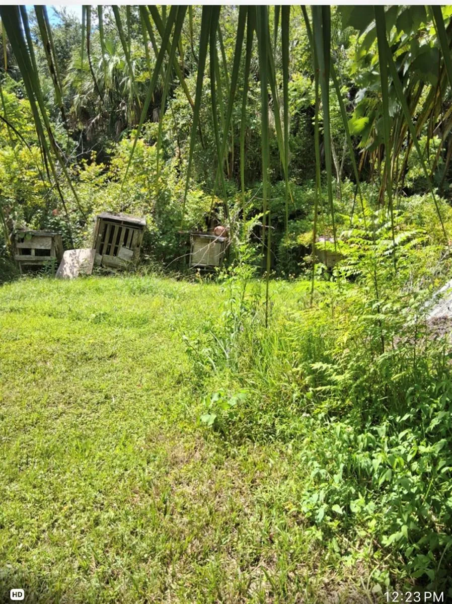 438 STATE ROAD 415 Osteen, FL 32764