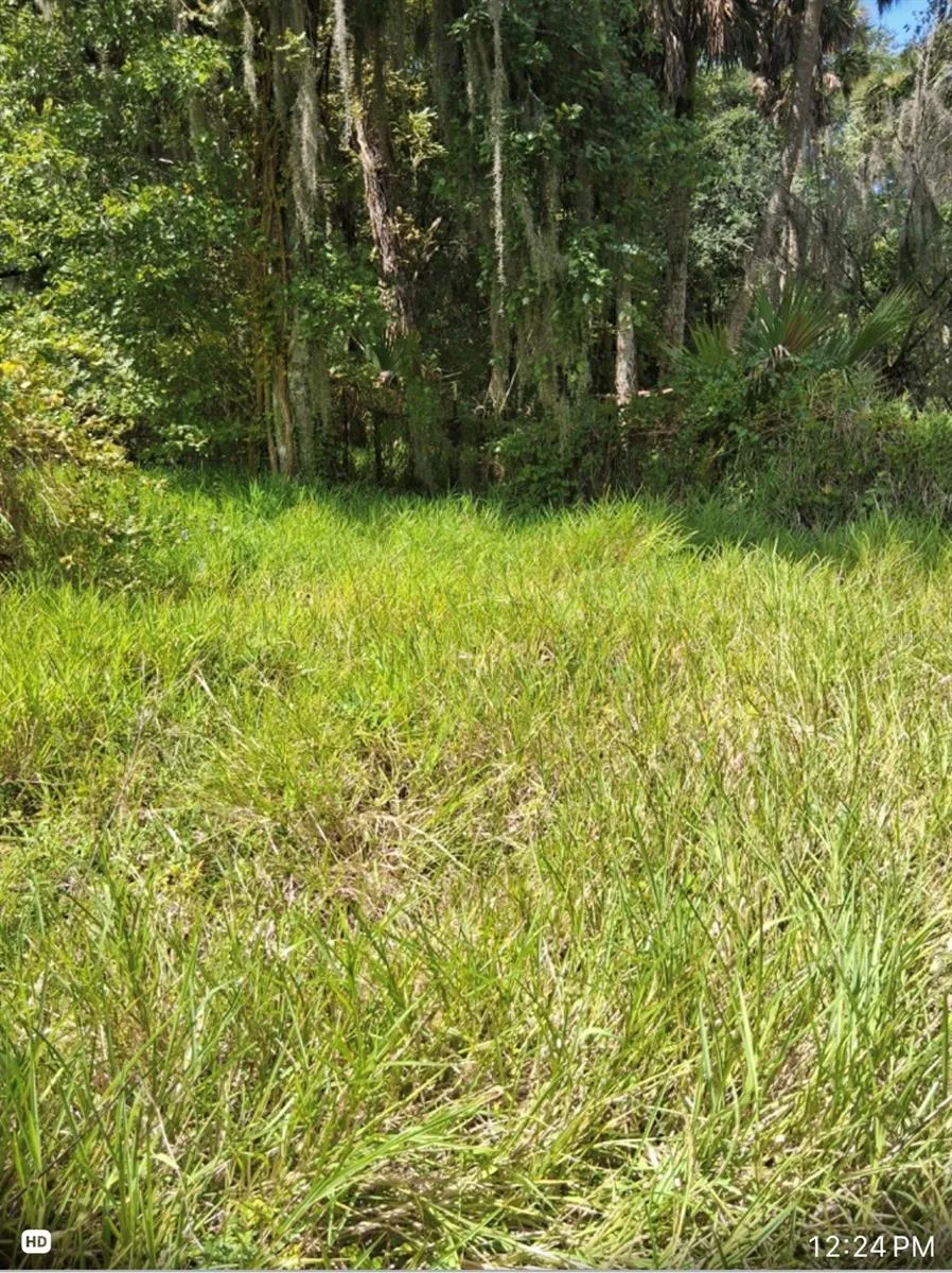 438 STATE ROAD 415 Osteen, FL 32764