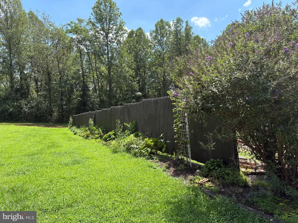 2242 SHELBY ROAD Madison, VA 22727