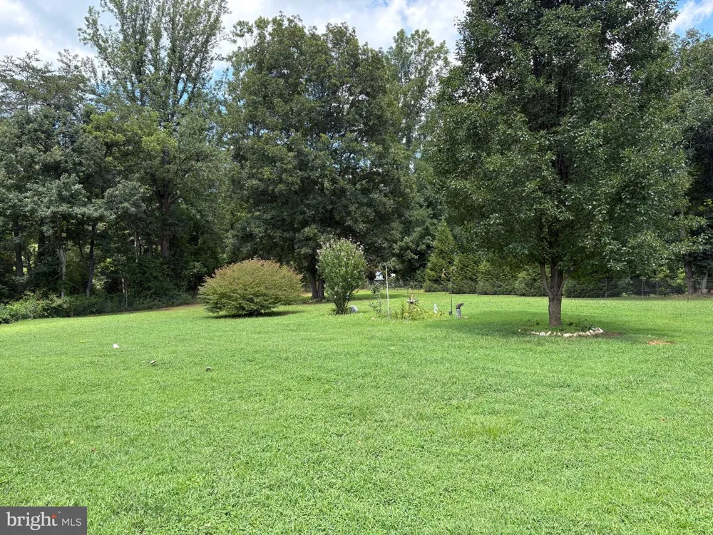 2242 SHELBY ROAD Madison, VA 22727