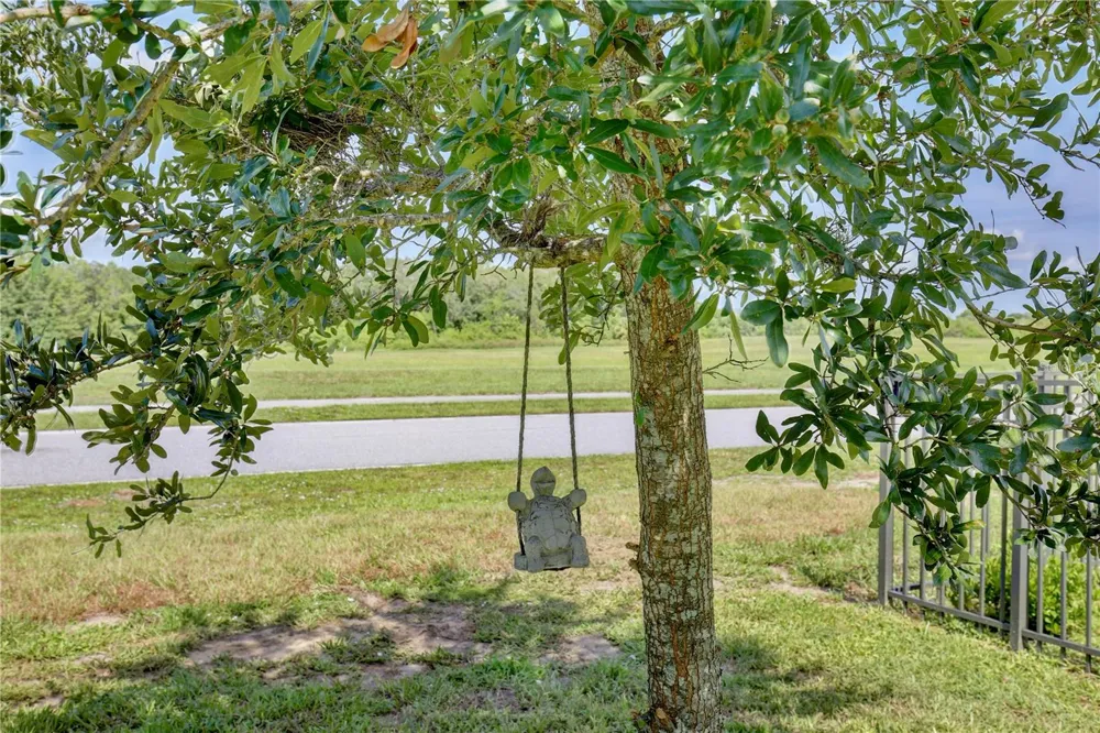 3020 BURROWING OWL DRIVE Mims, FL 32754