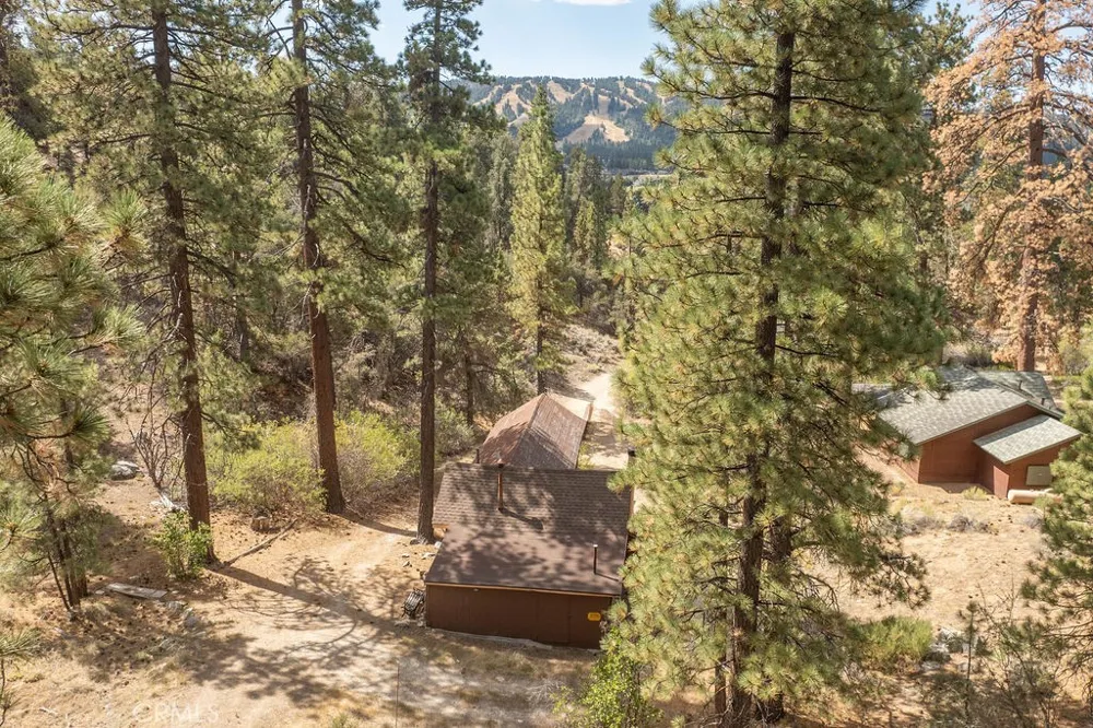 160 Lakeview Fawnskin, CA 92333