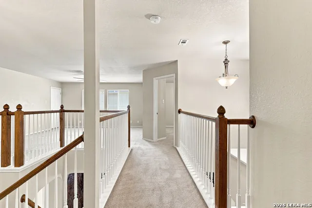 17238 Eldon Rock San Antonio, TX 78247