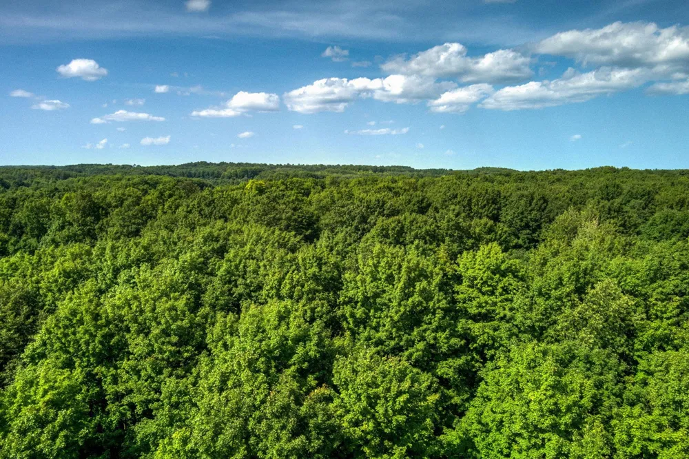 E Center Road Paradise Township, MI 49649