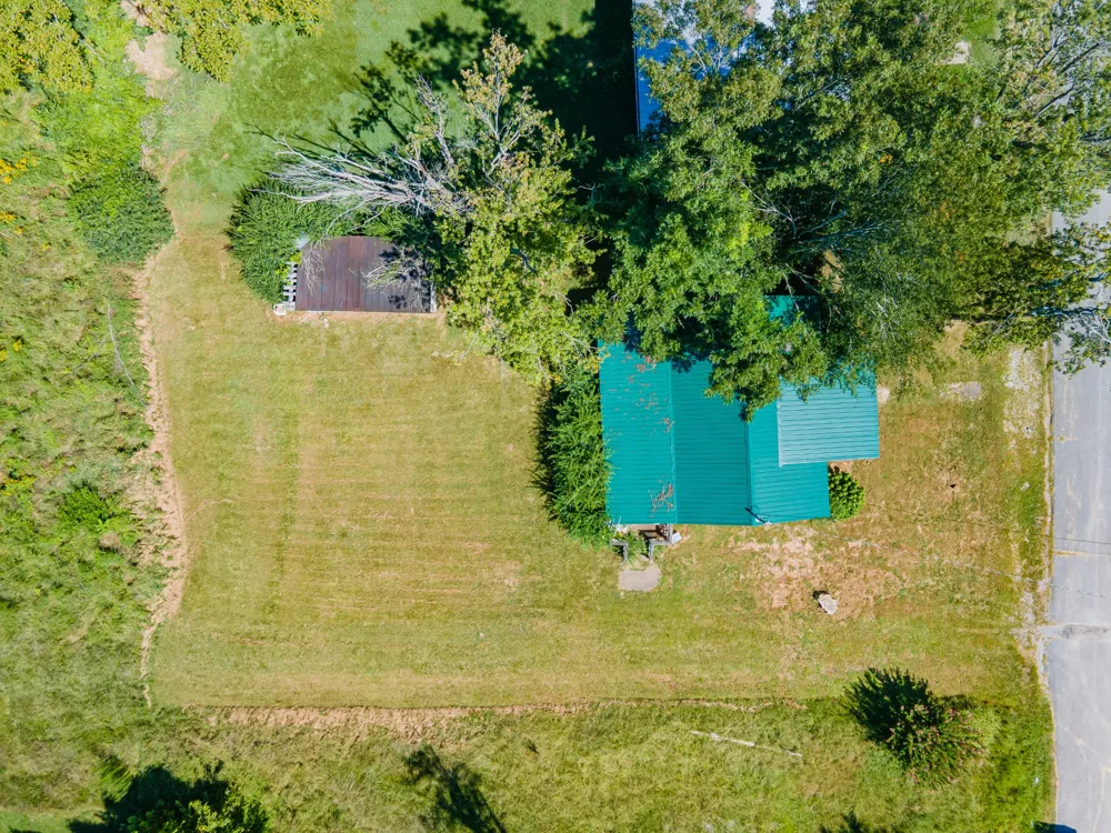 315 Willis Ave Hohenwald, TN 38462