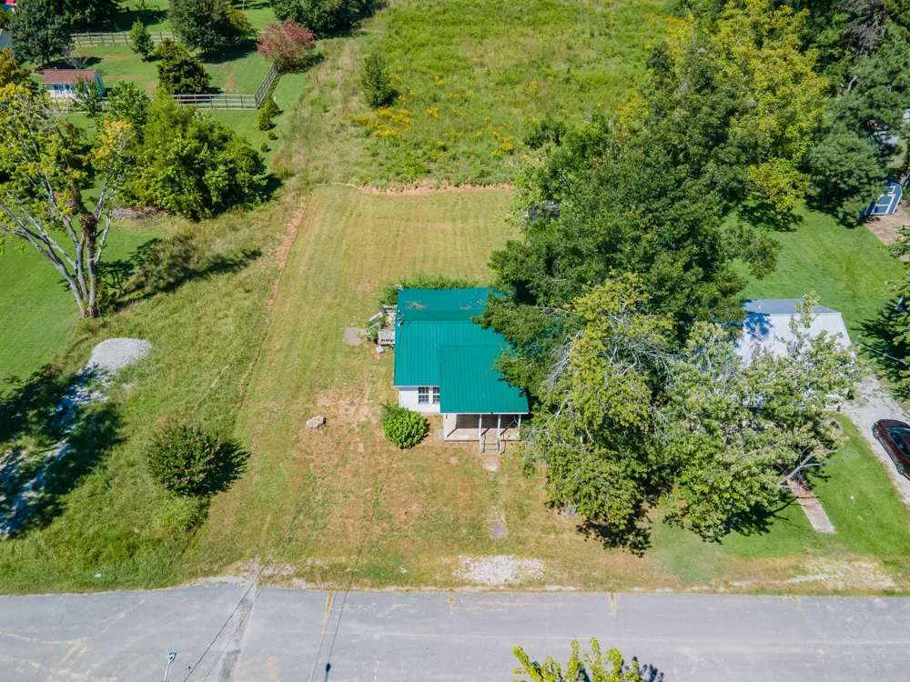 315 Willis Ave Hohenwald, TN 38462