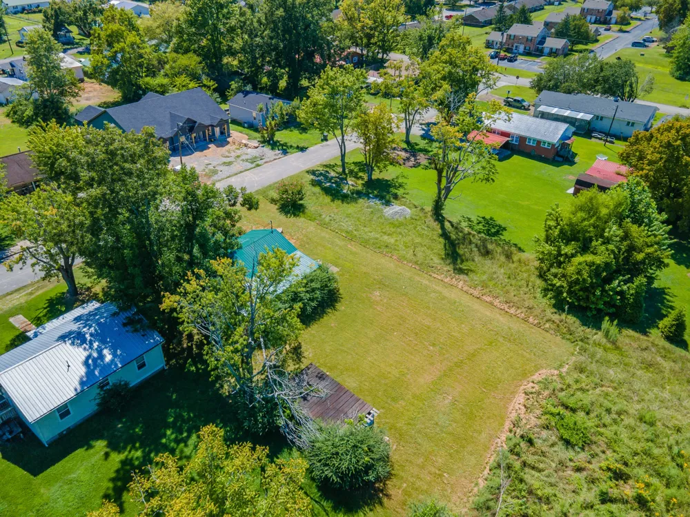 315 Willis Ave Hohenwald, TN 38462