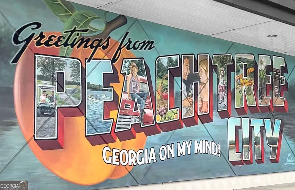 153 Lakeside DR Peachtree City, GA 30269