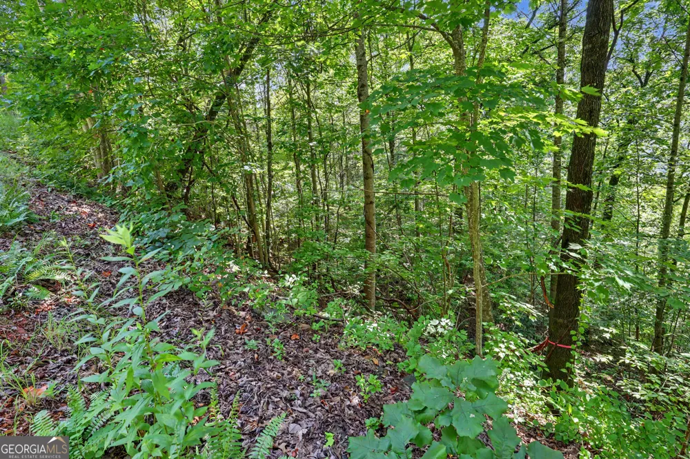 0 Waterfall Drive 5D Clayton, GA 30525