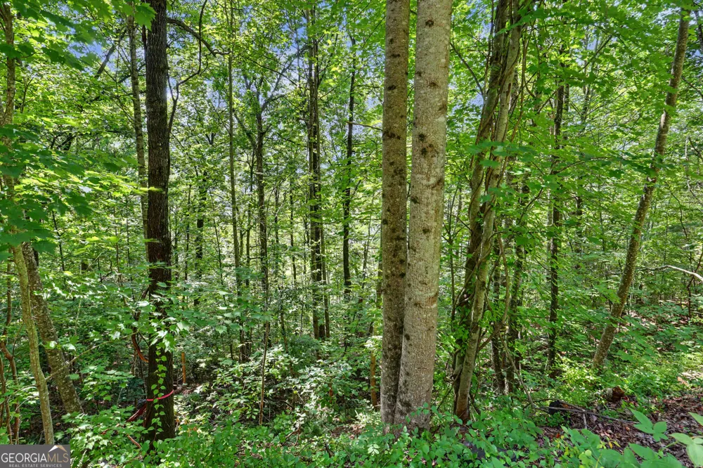 0 Waterfall Drive 5D Clayton, GA 30525