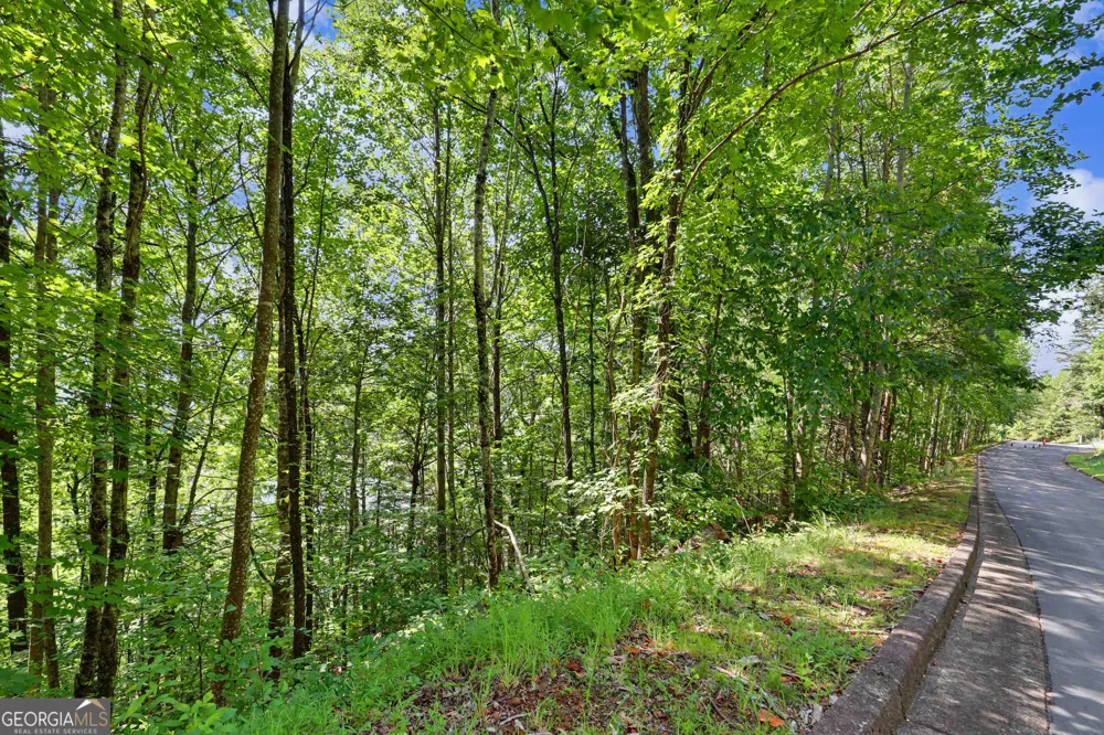 0 Waterfall Drive 5D Clayton, GA 30525