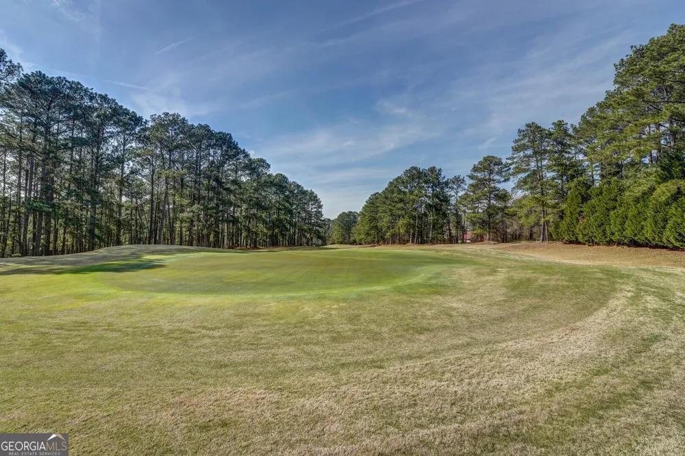 94 Wild Turkey CT Monticello, GA 31064