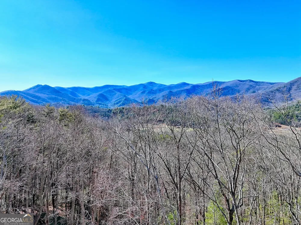 438 Mill Ridge RD Hiawassee, GA 30546