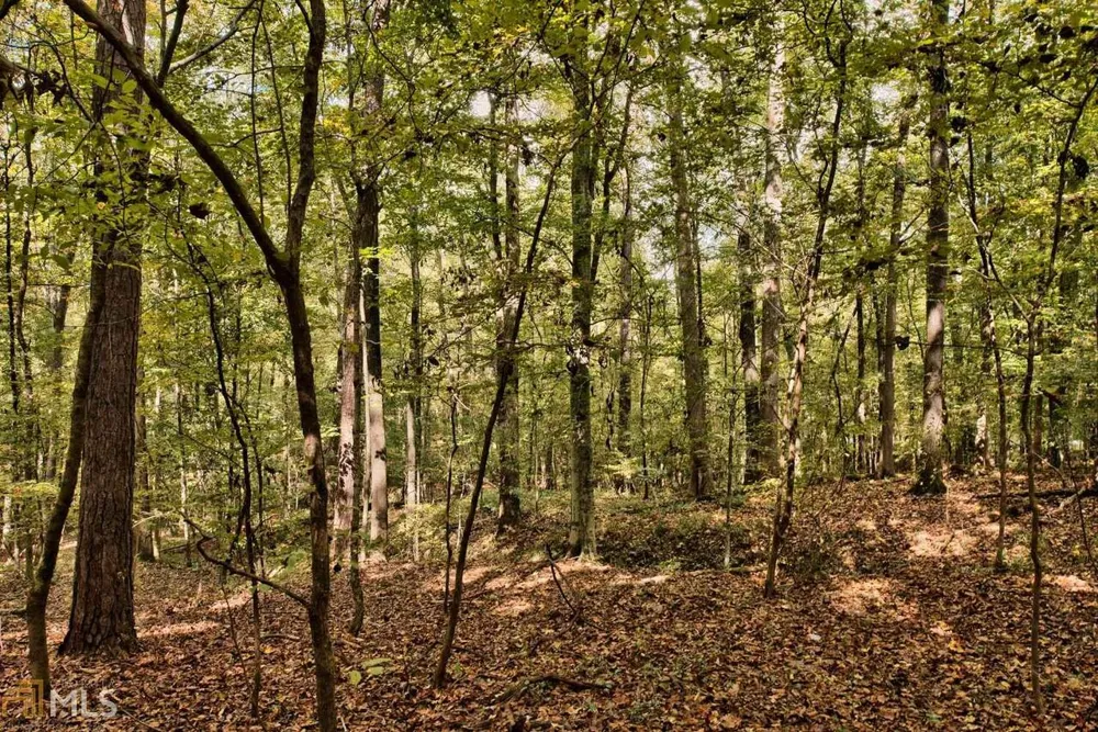 5.76AC Heidi TRL Buckhead, GA 30625