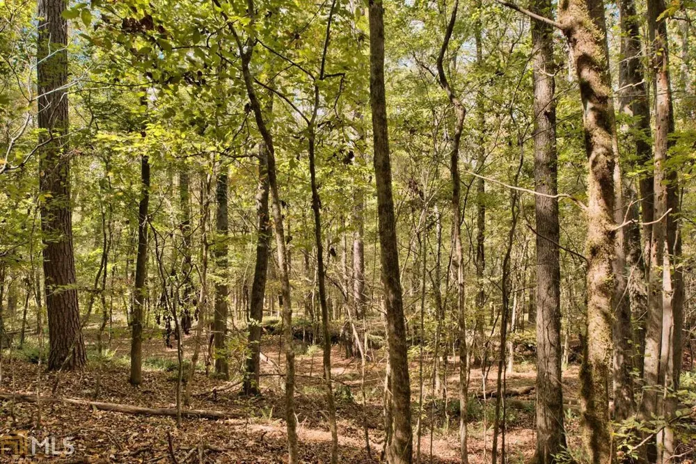 5.76AC Heidi TRL Buckhead, GA 30625