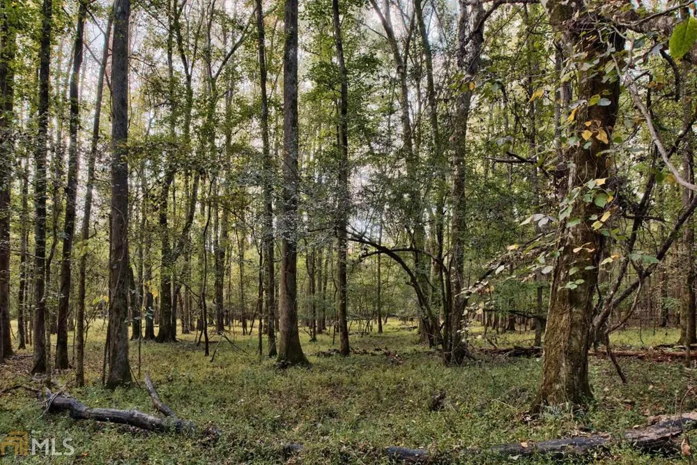 5.76AC Heidi TRL Buckhead, GA 30625