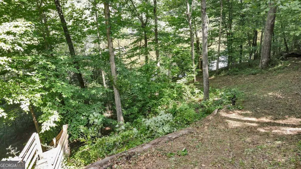 126 Silver Fox DR Dawsonville, GA 30534