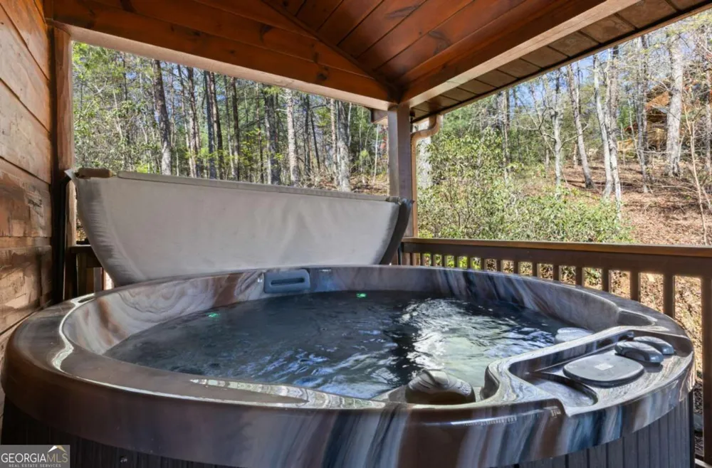 113 Dallas LN Blue Ridge, GA 30513