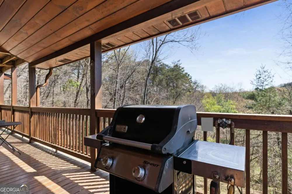 113 Dallas LN Blue Ridge, GA 30513