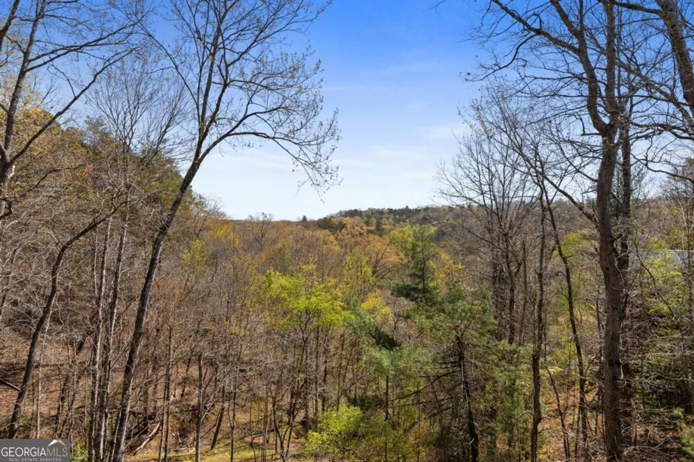 113 Dallas LN Blue Ridge, GA 30513