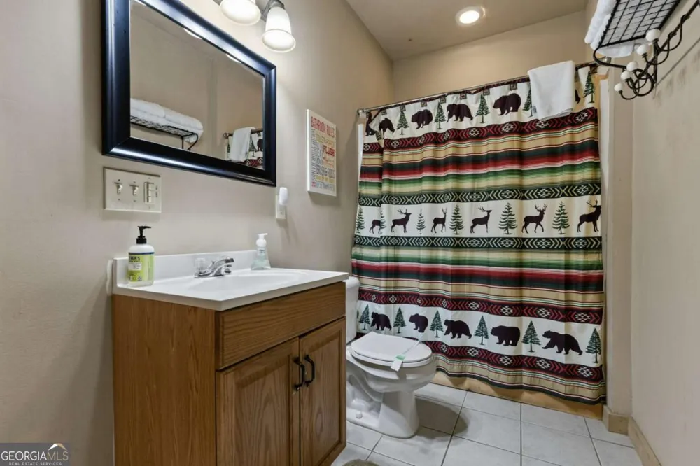 113 Dallas LN Blue Ridge, GA 30513