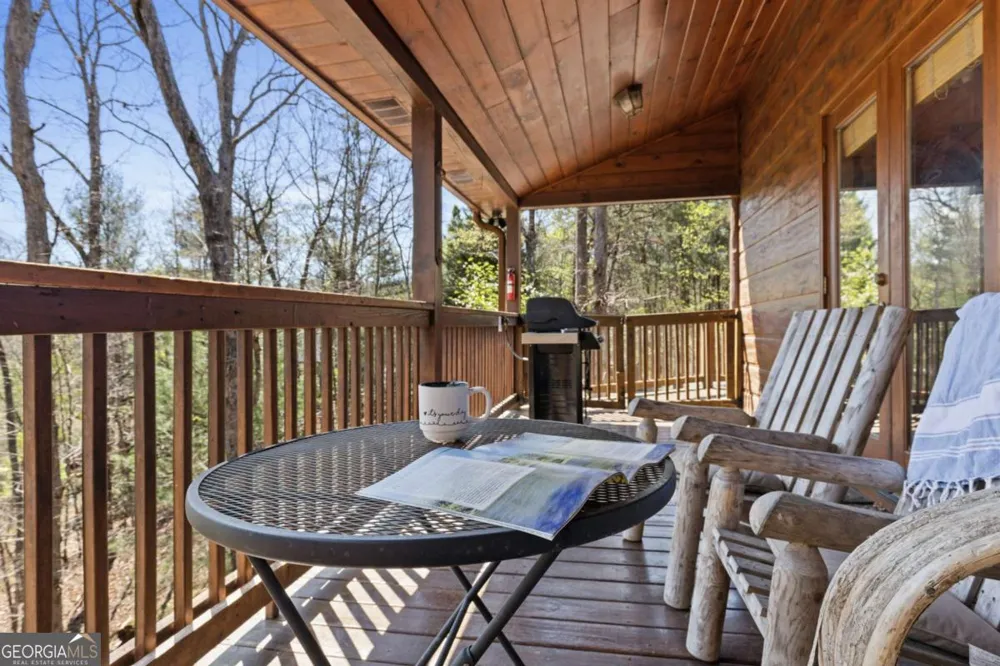 113 Dallas LN Blue Ridge, GA 30513