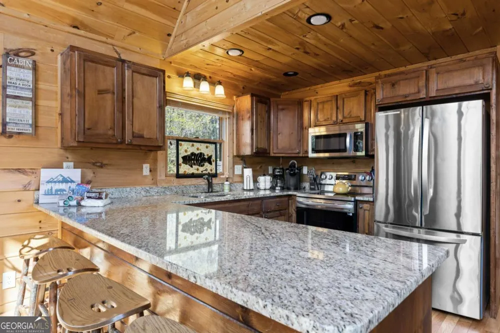 113 Dallas LN Blue Ridge, GA 30513