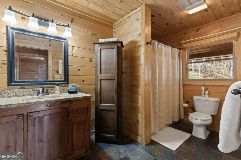 113 Dallas LN Blue Ridge, GA 30513