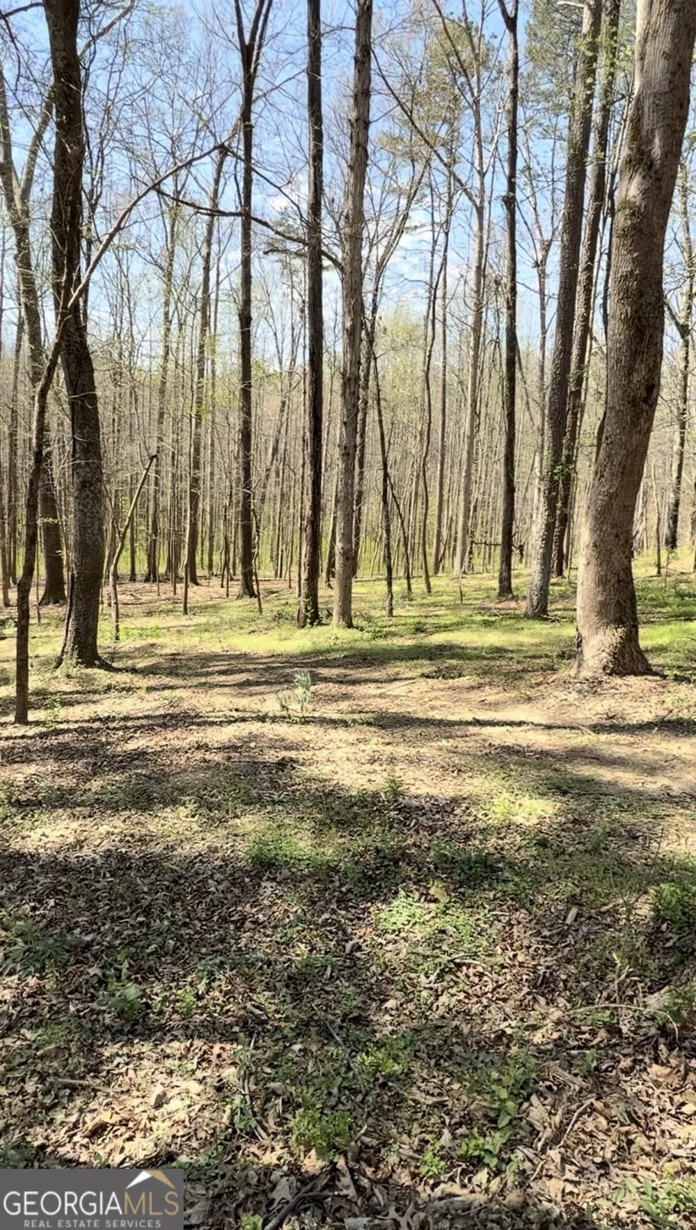 0 ike stone Monroe, GA 30656