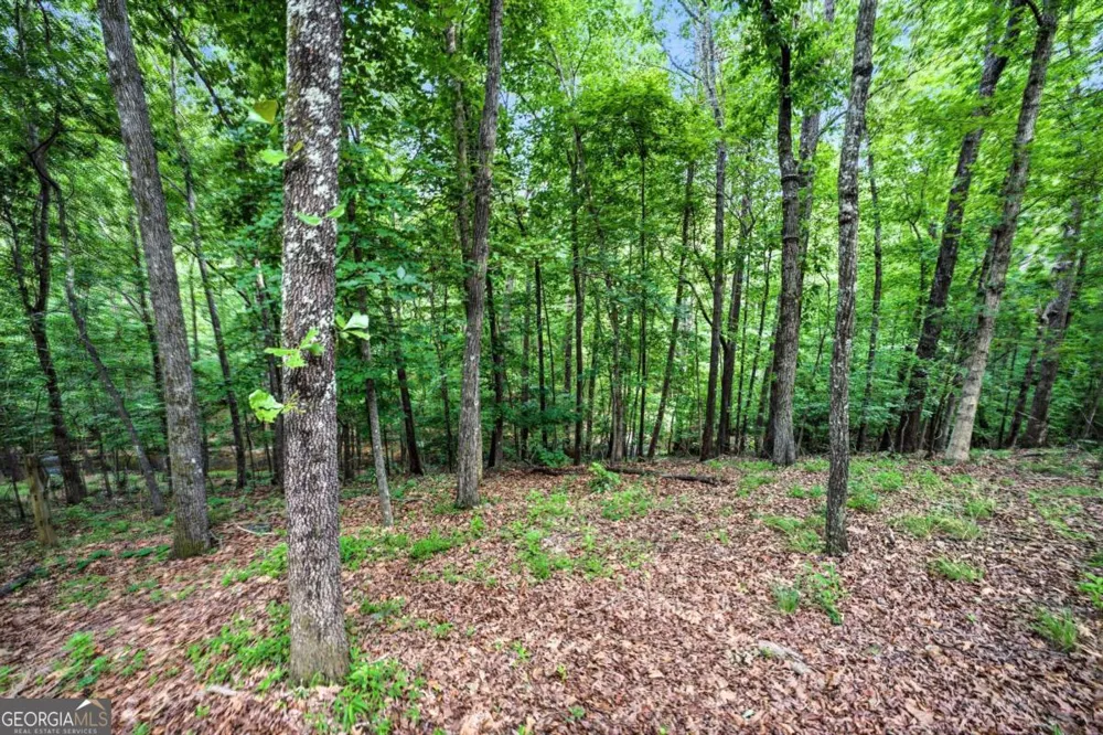 5525 Hampstead WAY Johns Creek, GA 30097