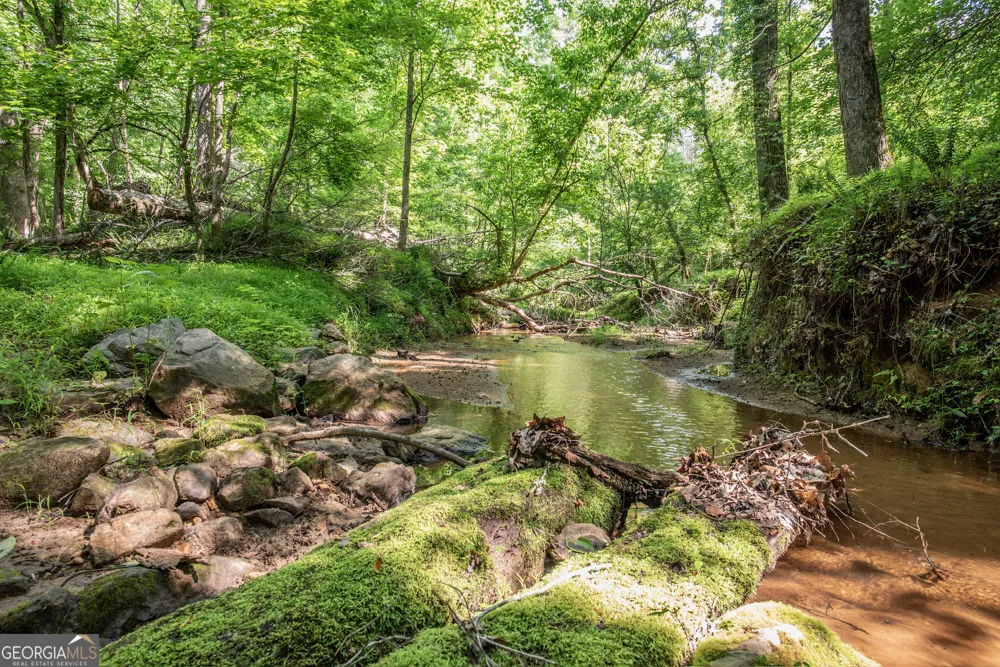 0 Doster RD Madison, GA 30650