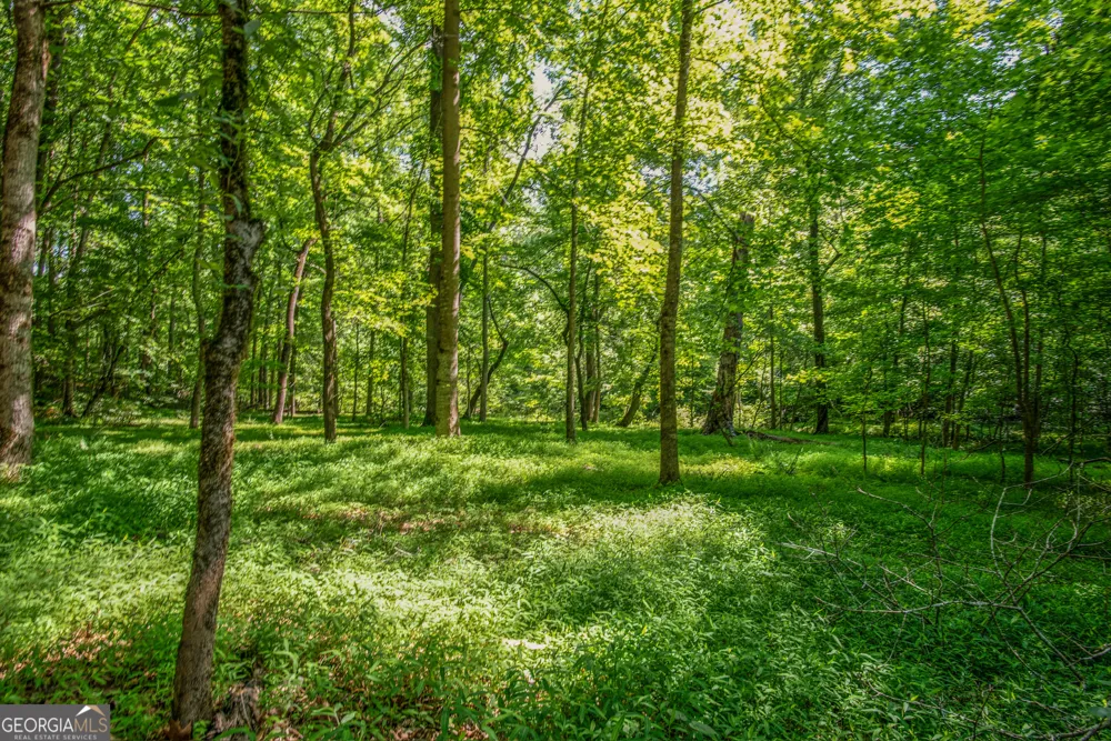 0 Doster RD Madison, GA 30650