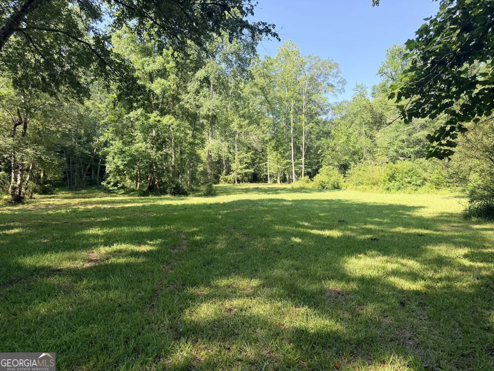 4 County Road 244 Wedowee, AL 36278