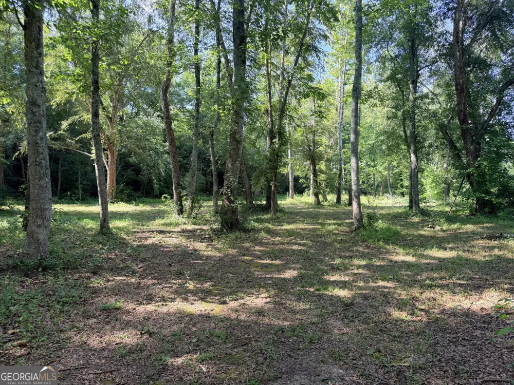 4 County Road 244 Wedowee, AL 36278