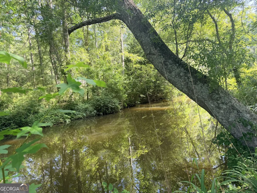 4 County Road 244 Wedowee, AL 36278