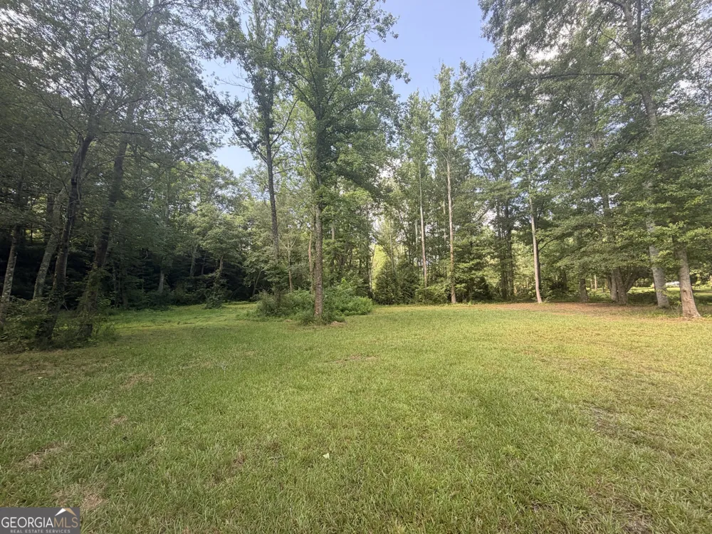 4 County Road 244 Wedowee, AL 36278