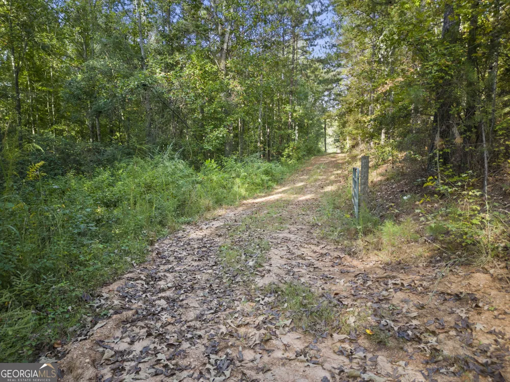 4 County Road 244 Wedowee, AL 36278