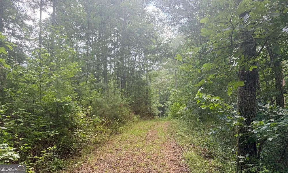 4 County Road 244 Wedowee, AL 36278
