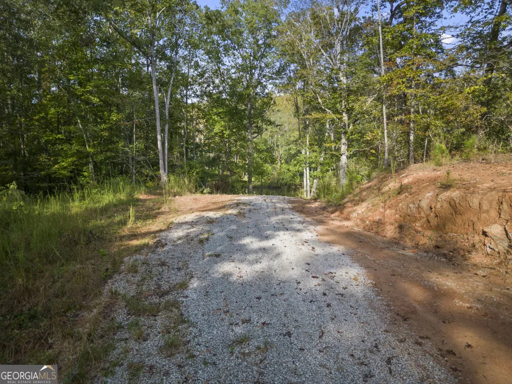 4 County Road 244 Wedowee, AL 36278