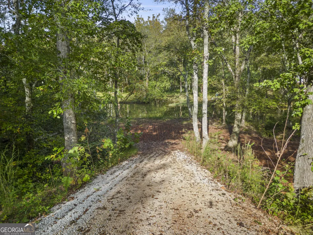 4 County Road 244 Wedowee, AL 36278