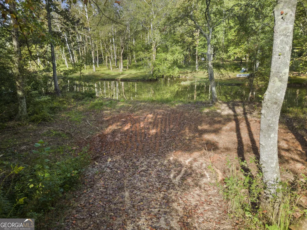 4 County Road 244 Wedowee, AL 36278