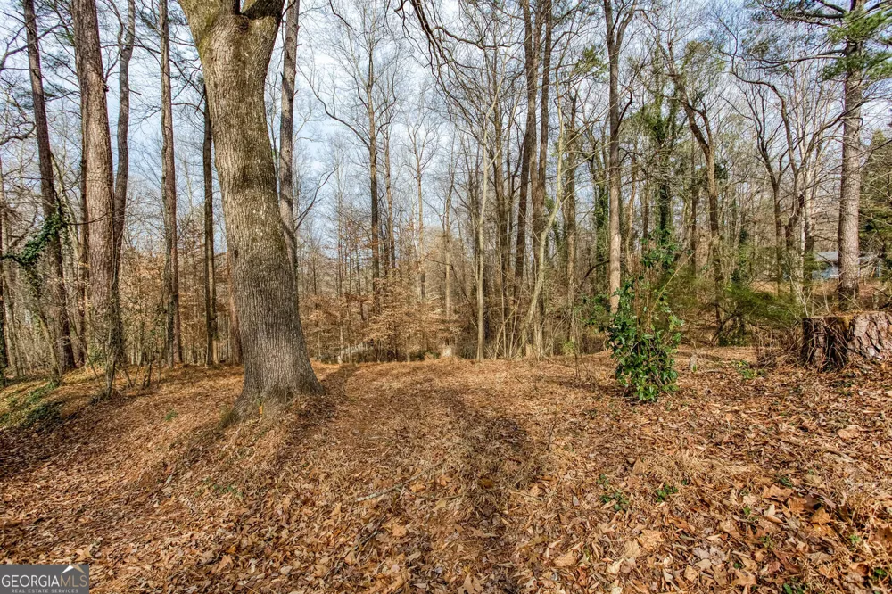 111 Maple Roswell, GA 30075