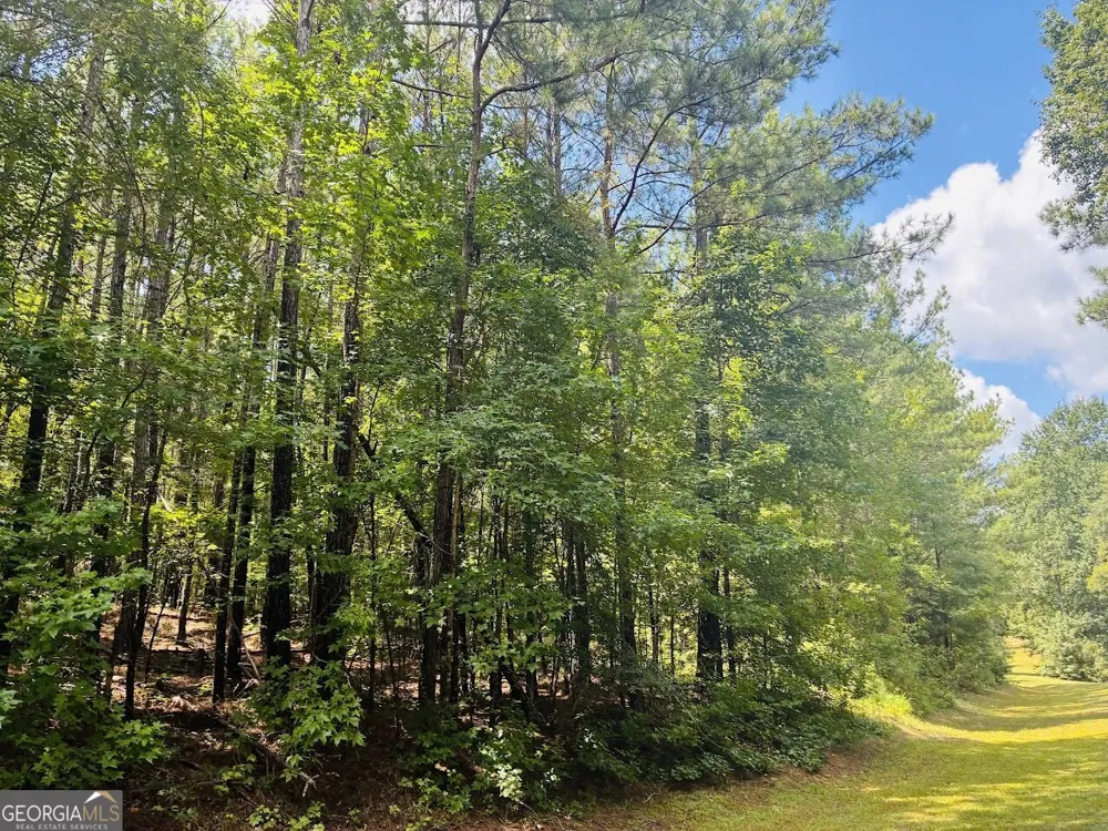 3889 Greenville RD LaGrange, GA 30241