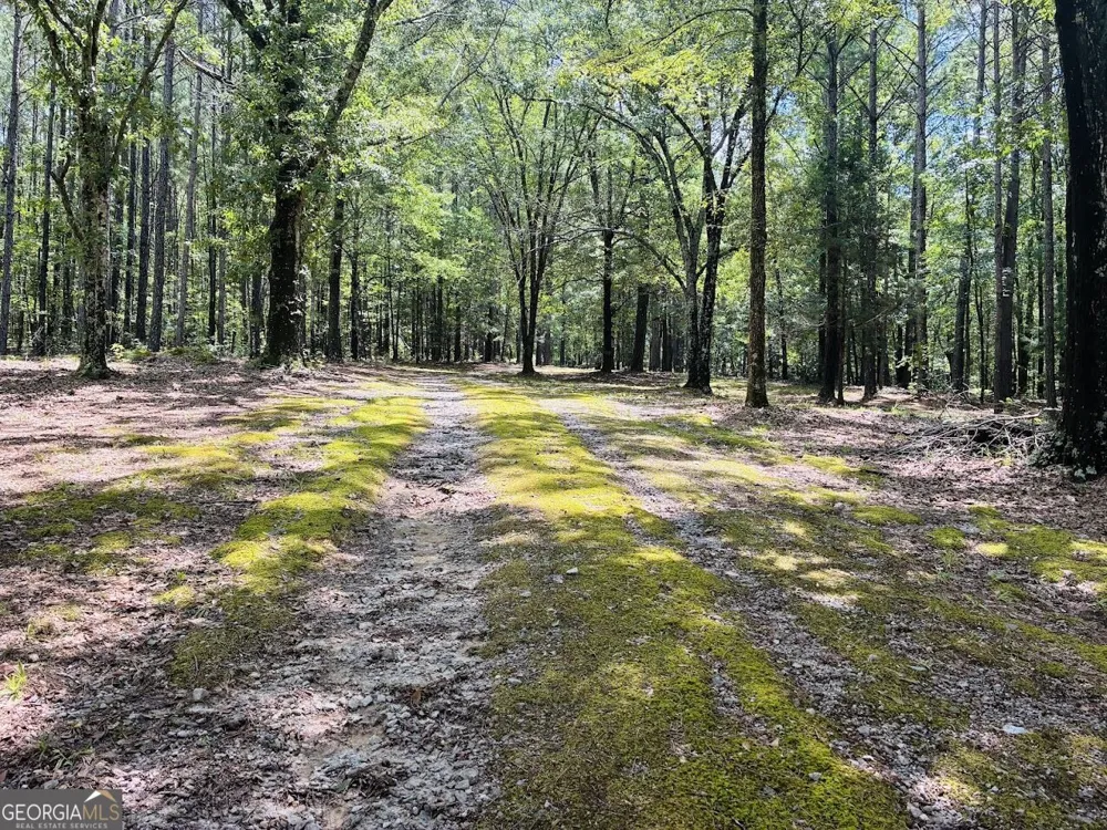 3889 Greenville RD LaGrange, GA 30241