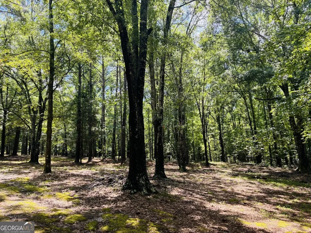 3889 Greenville RD LaGrange, GA 30241