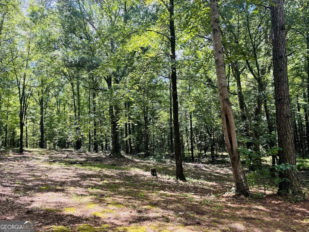 3889 Greenville RD LaGrange, GA 30241