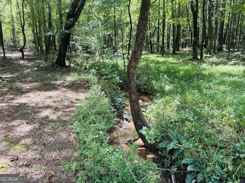 3889 Greenville RD LaGrange, GA 30241