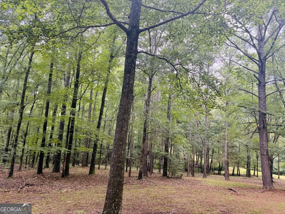 3889 Greenville RD LaGrange, GA 30241
